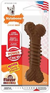 Nylabone Textured Bone, Small Dog Chew Toy, Natural, Regular/Small