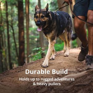 RUFFWEAR Front Range Dog Harness XS – Adjustable, Comfortable Fit