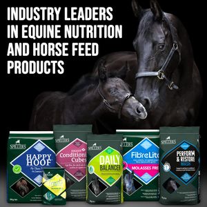 SPILLERS Senior Horse Conditioning Mix, 20kg