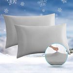 Cooling Pillow Cases, Avolare 2 Pack Cooling Pillowcases Queen Size for Hair Skin&Hot Sleepers, Arc-chill Pillow Cases Machine Summer Pillow Covers with Hidden Zipper, 20x30 Inches