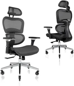 Nouhaus Ergo3D Ergonomic Office Chair Lumbar Support Mesh Office Chair with 4D Adjustable Armrest, Adjustable Headrest and Wheels, Mesh High Back Home Office Desk Chairs(Black)