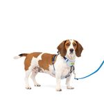 PetSafe Easy Walk Comfort No-Pull Dog Harness Full-Body Padding - Better Walks on The First Use - 5 Points of Adjustment Small/Medium, Blue