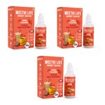 Meethi Life - Zero Calorie Sugar Substitute/Alternative/Replacement, Sucralose Sweetener Drops (800 Drops/38ml) Sugar Free, 480 teaspoons/UPTO 2.4 Kg of sugar sweetness (Pack of 3)