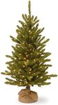 National Tree Company Pre-lit Artificial Mini Christmas Tree | Includes Small Lights and Cloth Bag Base | Kensington Burlap - 4 ft