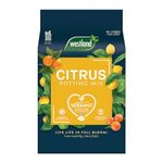 Westland Citrus Potting Mix 10L, Brown