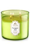 Bath & Body Works White Barn Eucalyptus Mint Scented 3 Wick Candle 14.5 oz./411 g