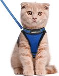 rabbitgoo Cat Harness and Leash Set for Walking Escape Proof, Adjustable Soft Kittens Vest with Reflective Strip for Cats, Comfortable Outdoor Vest,Blue, Large