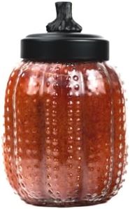 A Cheerful Giver Papa's Pumpkin Pie Pumpkin Jar Candle, 26-Ounce