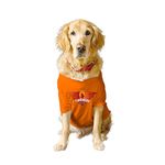 Ruse Crew Neck Half Sleeves T-Shirt for Dogs IPL Funrisers Hyderabad Team Dog Cotton Jersey Printed Breathable Tees Apparel for Pet - Gift for Dogs (Saint Bernard, Great) (Orange, XXL)