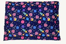 PRETTY PAWS Dog Mat in Premium Polyester Fabric (L, Space)