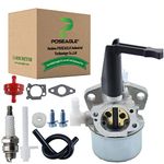 POSEAGLE 696065 Carburetor Kit Compatible with Briggs & Stratton 110412-0211-E1 110402-0206-E1 Engine Carb Tiller Rototiller Troy Generator Intek Motor Water Pump