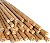 LOIBUYZ Bamboo Canes - Plant Supports for Outdoor Plants – Heavy Duty Professional Bamboo Sticks for Plants, All Lengths 2,3,4,5,6,7 & 8ft Garden Canes, Garden Plant Supports (5, 2ft, 6-8mm)