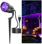 HIBOITEC Halloween Black Light Spot