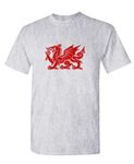 The Goozler - Welsh Dragon - Mens Cotton T-Shirt, Ash, Large