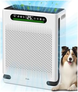 Air Purifi