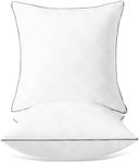 16x16 Pillow Insert Pack of 2, Squa