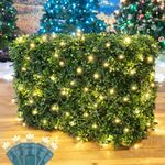 ‎Novelty Lights 4FT x 6FT 100 LED Net Lights, Net Lights Outdoor Mesh Lights Durable LED Bulbs for Bushes, Garden, Holiday, Backyard Decor Outdoor Lighting for Patio (Warm White)