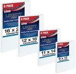 U.S. Art Supply Multi-Pack 6-Ea of 9 x 12, 11 x 14, 12 x 16, 16 x 20 inch. Professional Quality Large Artist Canvas Panel Assortment Pack (24 Total Panels)