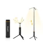 BougeRV T1 Telescopic Camping Light, 15600mAh Rechargeable Lantern, Portable Camping Lamp, 1000x3 Lumens Rotatable Work Light for Tent, Emergency, Outdoor, IPX5 Water Resistant (2026 New)