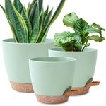 3 Pack Plant Pots Indoor 10/9/8 Inch Self Watering Planters for Indoor Plants Flower Pots for Indoor Plants with Drainage Holes and Saucer for Home Garden Indoor Outdoor(Green)