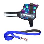 PAYTON PERRY Customized Dog Harness with Leash | Dog Harness with Name | Personalized Dog Vest Harness, No Pull, Adjustable (Large, Blue-Diamond, Recommended for 24-35KG Pet)