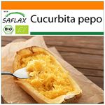 SAFLAX - Garden in The Bag - Organic - Squash - Spaghetti - 5 Seeds - with Cultivation Substrate in an Easy to Handle Stand up Bag. - Cucurbita Pepo