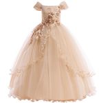 Weileenice Girls Pageant Dress Gold Off Shoulder Embroidery Beads Little Girl Lace Bridesmaid Wedding Holiday Party Formal Dresses Kids Vintage Sequin Birthday Ceremony Photo Shoot Prom Ball Gown 6 7