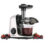 West Bend Cold Press Masticating Juicer Extractor Machine Features Quiet Motor Anti-Clog Reverse Function Nutrient Preserving For Juicing Fruits Vegetables and All Greens, 150-Watts, White