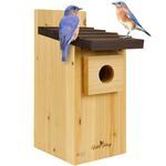 Amazon Home Services Bird Houses