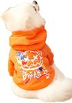 QWINEE Cartoon Bear Print Cat Hoodie Breathable Stretchy Sweatshirts with Hat Warm Cat Clothes for Small Medium Large Cats Dogs Orange L