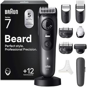 Braun Bear