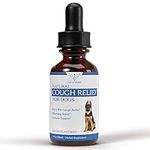 Natural Kennel Cough Treatment for 