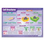 Daydream Education Cell Structures Poster - EXTRA LARGE - A1 (850mm x 594mm) - Science Secondary School Wall Charts