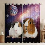 Loussiesd Guinea Pig Curtain for Bedroom Living Room Kids Universe Galaxy Darkening Drapes Outer Space Cute Cavy Window Curtains Starry Sky Window Treatments Bedroom W46*L72