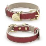 NINA WOOF Copenhagen Leather Dog Collar - Handmade with Vegan Soft Leather Round Padded Collar with Adjustable Buckle for Extra Small, Small, Medium, and Large Dogs - Color Red, Small