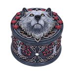 Nemesis Now Lisa Parker Guardian of The Fall White Autumn Wolf Trinket Box, 11cm