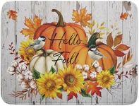 Hello Fall Dish Drying Mat for Kitc