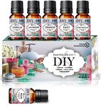 Parag Fragrances D.I.Y. 6in1 Essential Oils Set of (Rose, Lemongrass, Orange, Lavender, Daisy & Vanilla) Essential Oils