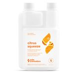 Citrus Squeeze Scent 10 Oz. Bottle, Treats 10 Gallons of Paint