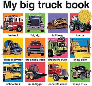 My Big Truck Book (My Big Board Books)