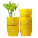 GREENON® 10 Inch Plant Pot Pack of 5 (10 Pots) | Self Watering Indoor Pot | Yellow Outer Black Inner Flower Pot | UnFadable | Suitable for Home Indoor and Balcony Plants | Low Maintenance Gamla