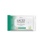 Lacto Calamine Daily Cleansing Facial Wipes 25N Each- Pack of 12 | Wet Wipes for Face with Aloe Vera, Cucumber & Vitamin E | Makeup Remover Wipes| Hydrating,Refreshing, Soothing|Paraben & Alcohol Free