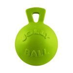 Jolly Pets 10-Inch Horse Jolly Ball, Apple Scented