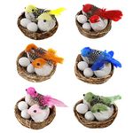 Bird Nest For Kids