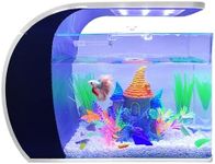 5 Gallon Fish Tank - Arc-Shaped Gla