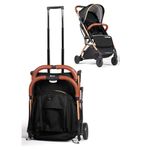 Lejoux™ Baby Pushchair Stroller– Lightweight Foldable Travel Buggy with 5-Point Harness, Adjustable Seat Back and Oversize Basket Folds with 1 Hand – Smooth Swivel Wheels Rain Cover (Black)