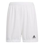 adidas Unisex Kids Entrada 22 Shorts, White, 9-10 Years