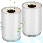 Air Purifier For Mold Spores Mildew