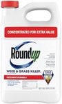 Roundup Weed & Grass Killer₄ Concen