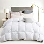 Royoliving Ultra-Warm Queen Size Fe